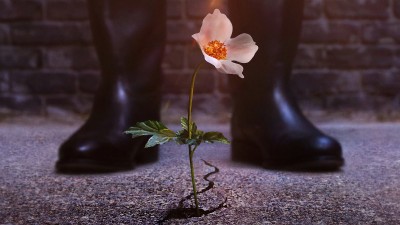 Thế Giới Của Phát Xít (Phần 4) - The Man in the High Castle (Season 4)